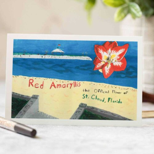 Amaryllis and beach postcard