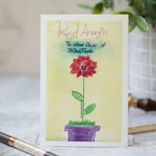 Red Amaryllis Postcard