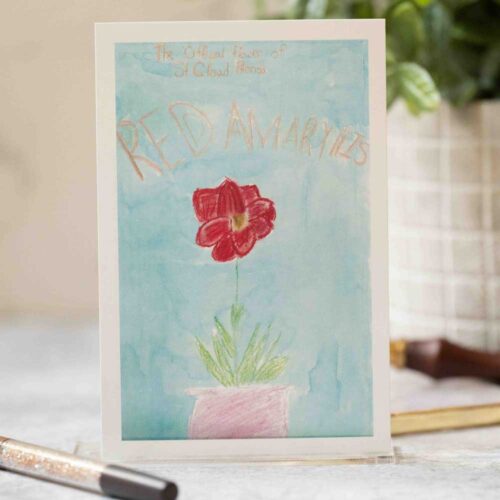 Pastel amaryllis postcard